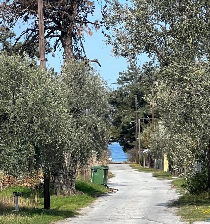 Villa Calypso Skala Rachoni  Eksteriør bilde